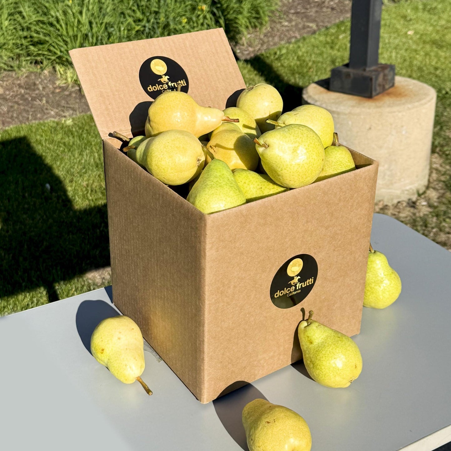Barlett Pears 4 Lbs