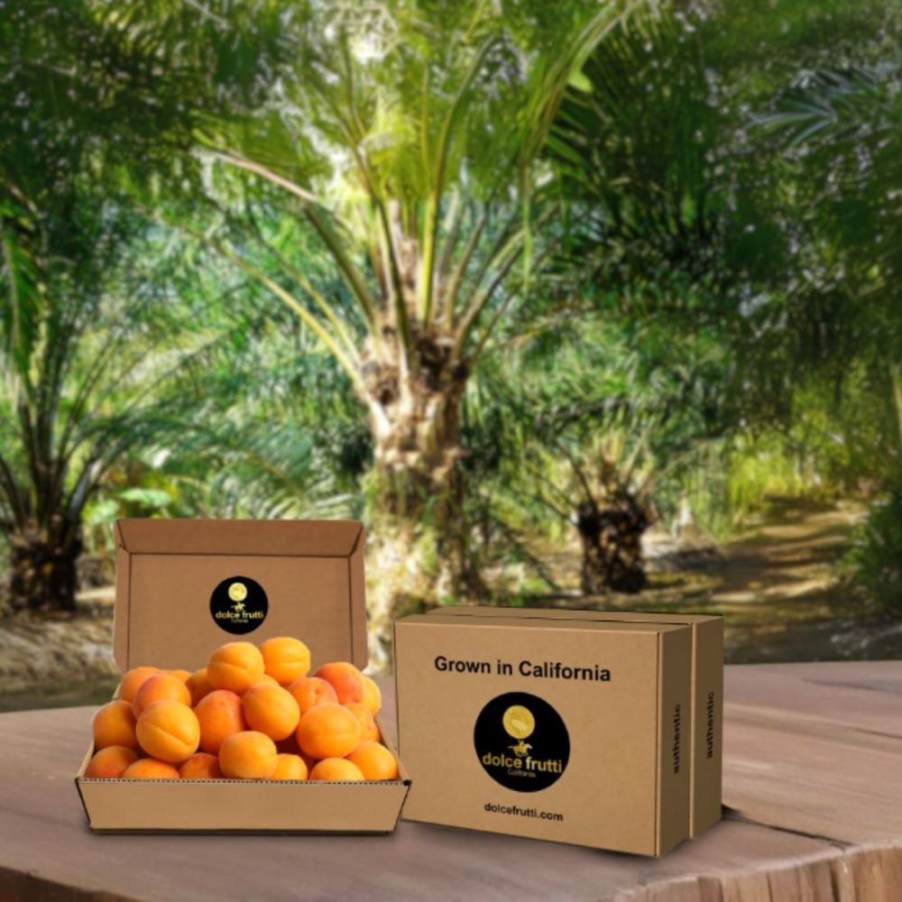 Blenheim Apricots 3 Lbs