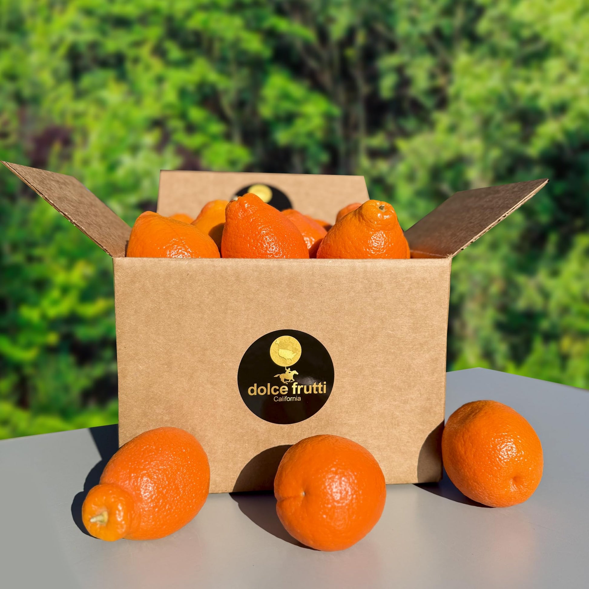 Minneola tangelos 8 Lbs