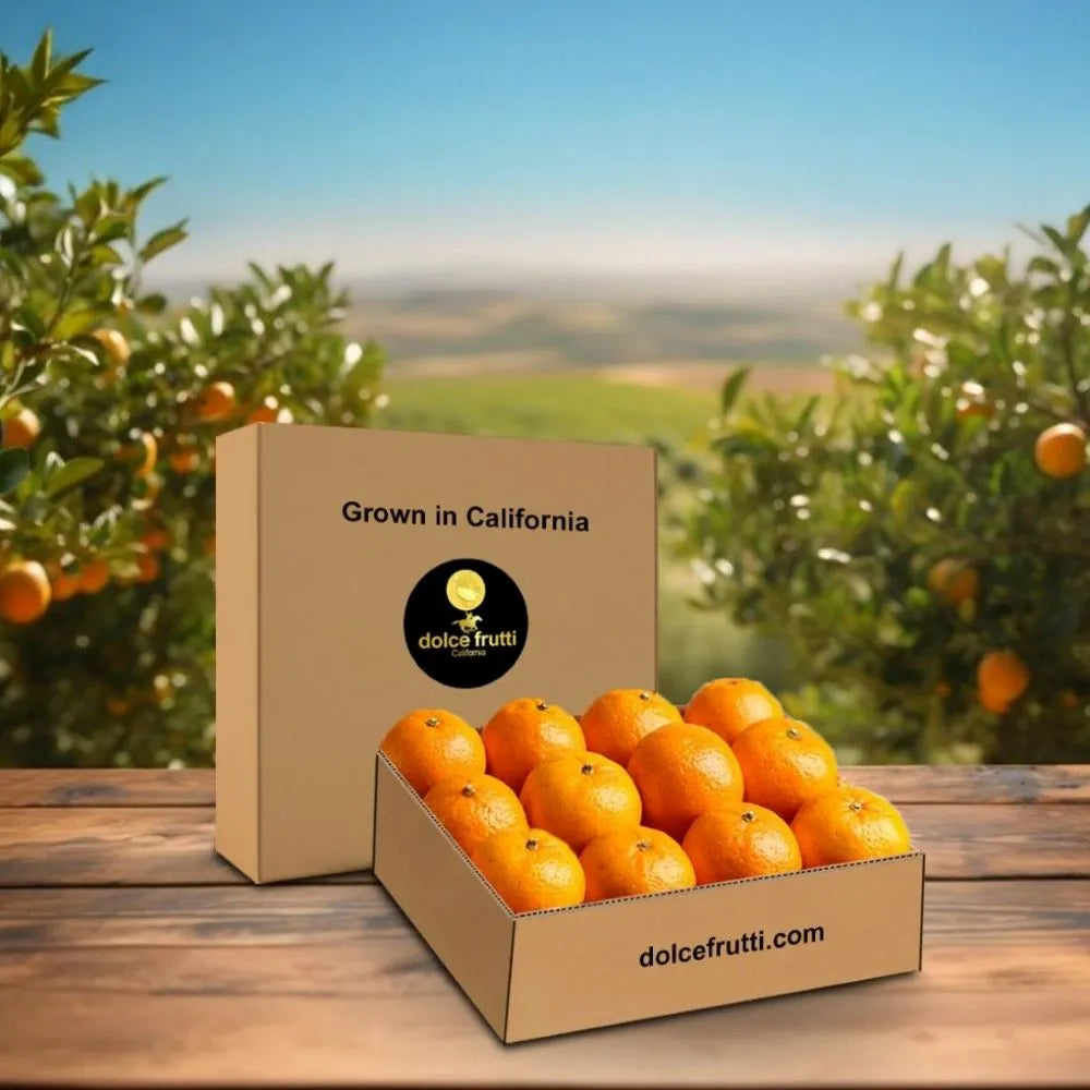 Temple Oranges 8 lbs