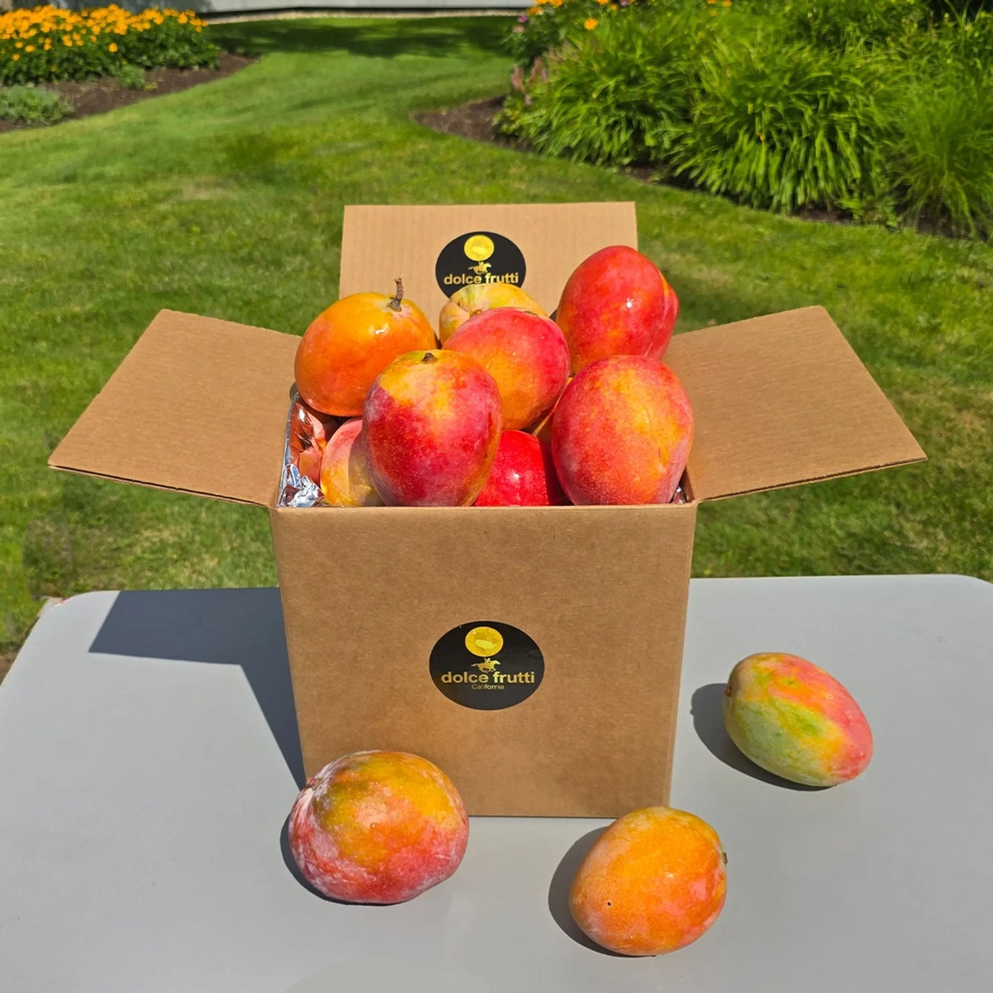 Desert Ruby Mangos
