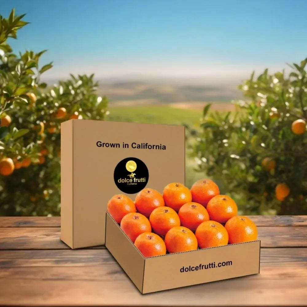 Marsh Ruby Blush Grapefruit