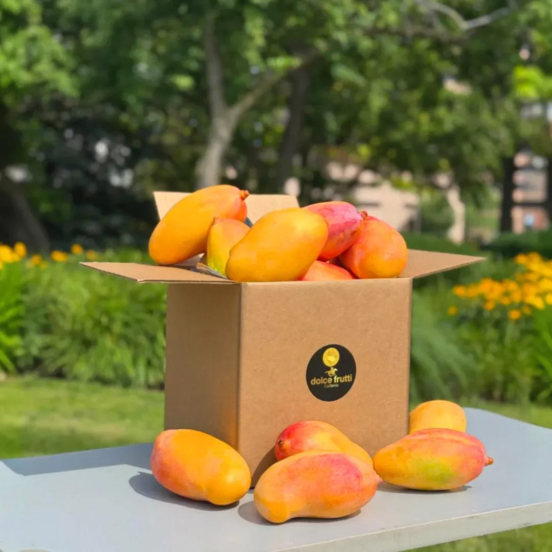 Valencia Pride Mangos | Summer Delight
