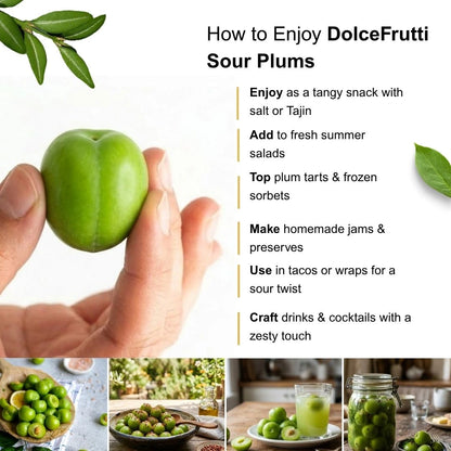 Fresh Sour Plums