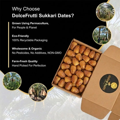 Ripe Sukkari Dates