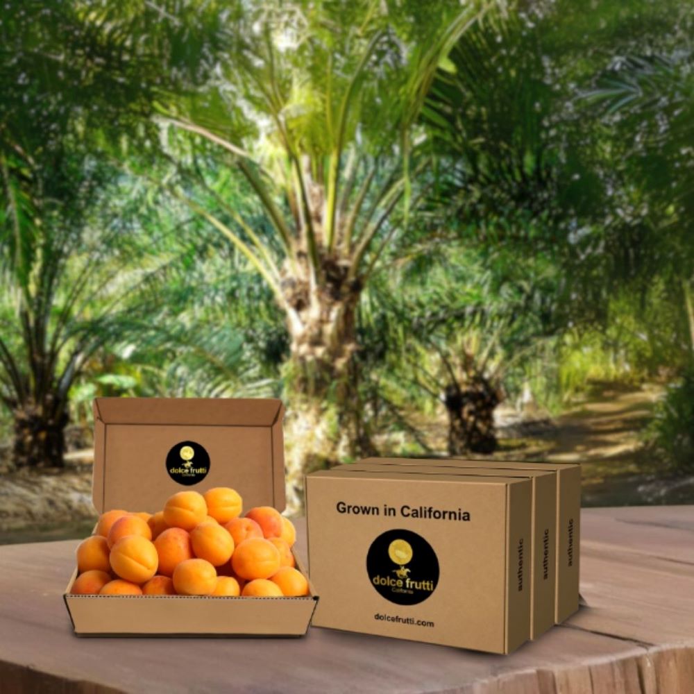 Blenheim Apricots 4 Lbs