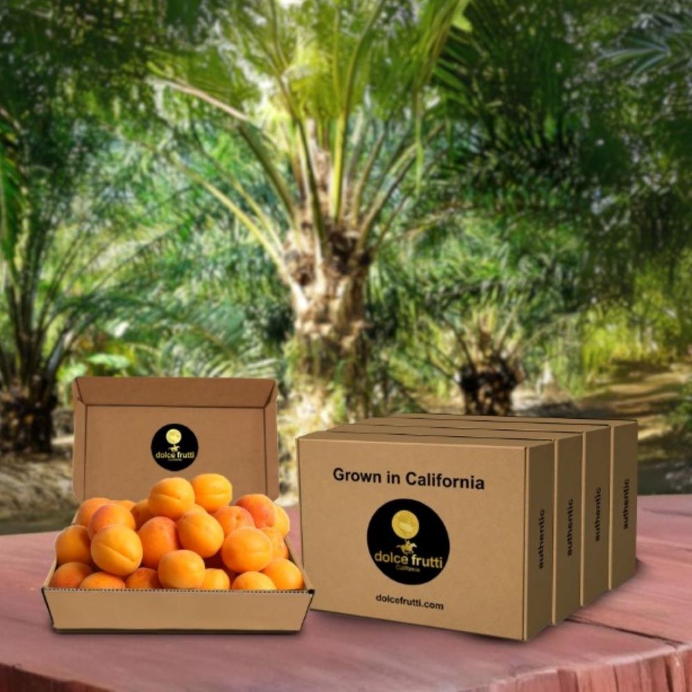 Blenheim Apricots 5 Lbs