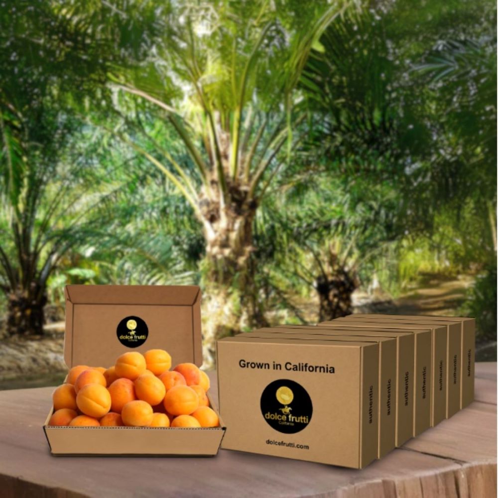 Blenheim Apricots 8 Lbs
