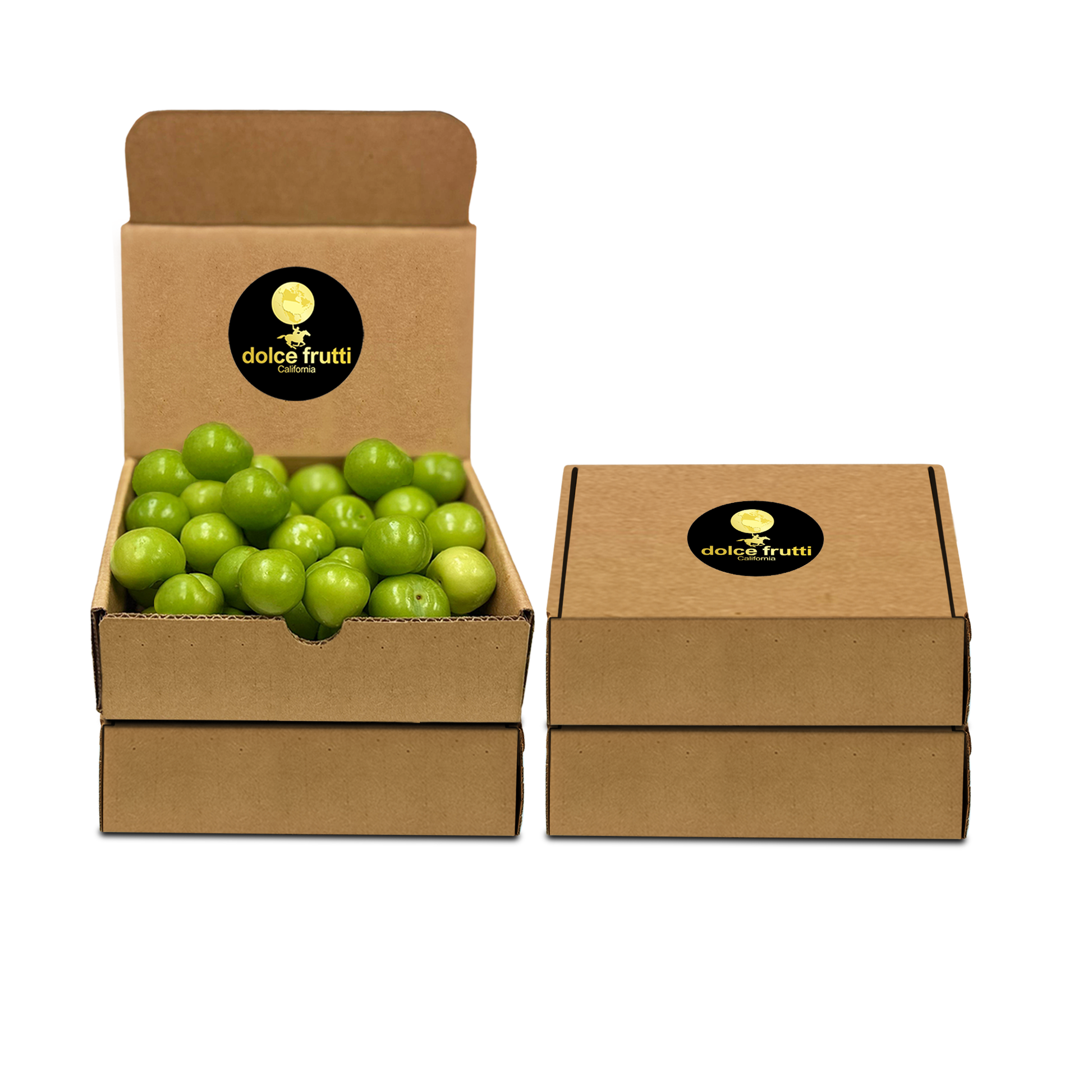 Fresh Sour Plums 4 Lbs