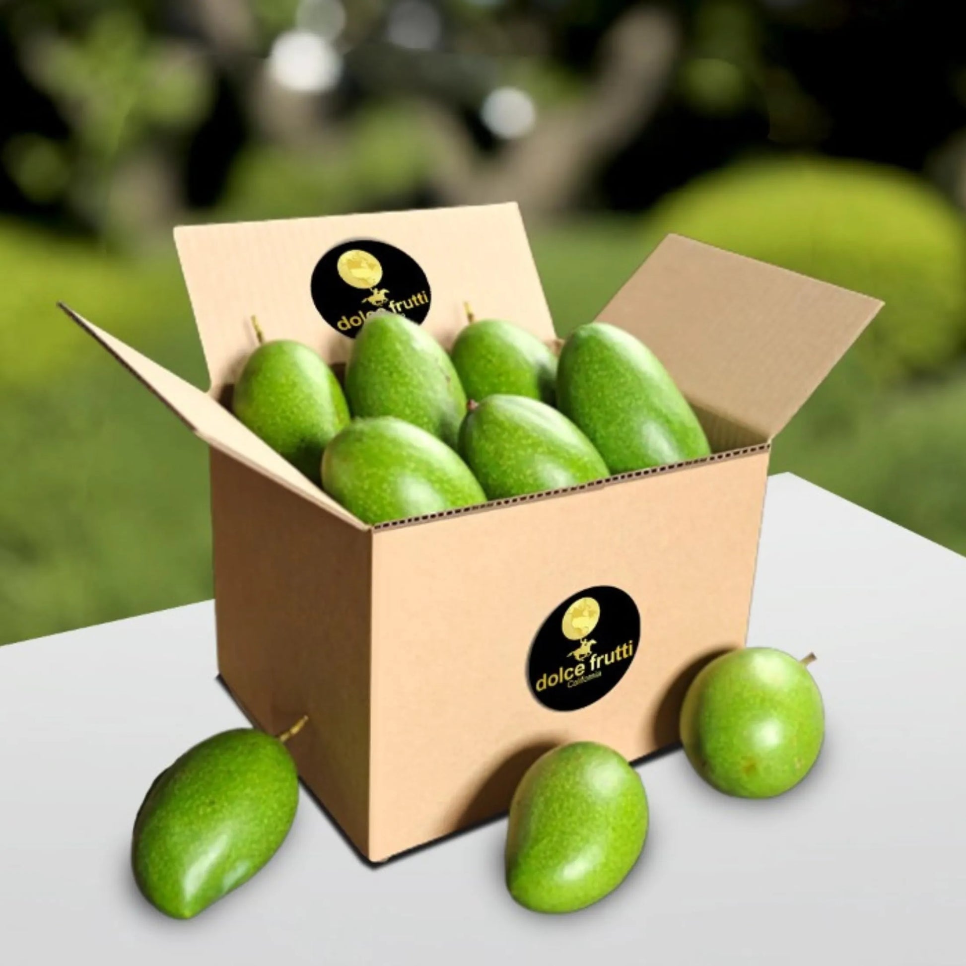 Keitt Mangos 8 Lbs
