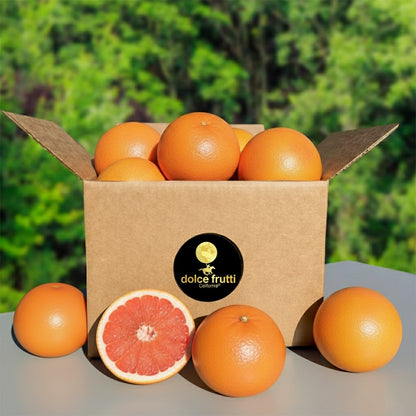 Marsh Ruby Blush Grapefruit