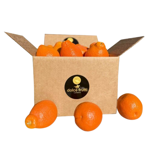 Minneola Tangelos Oranges