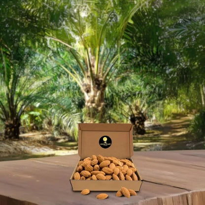 Nonpareil Almonds 1 lbs