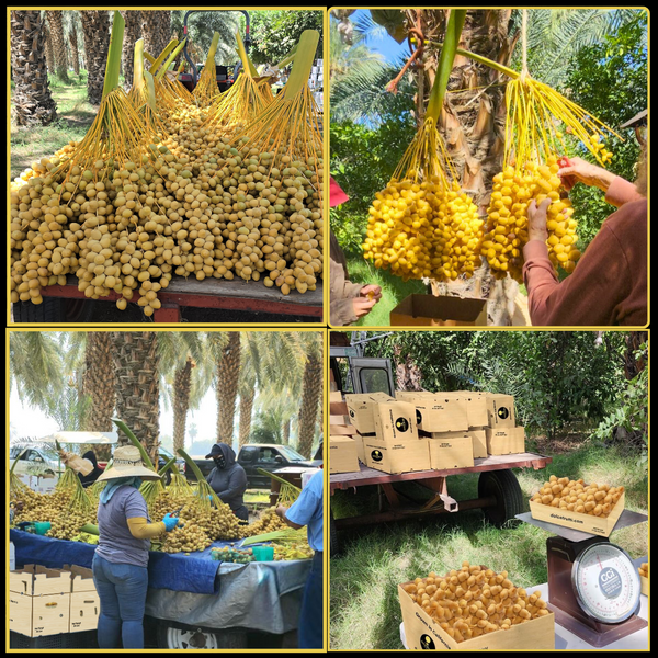 Seasonal fruits