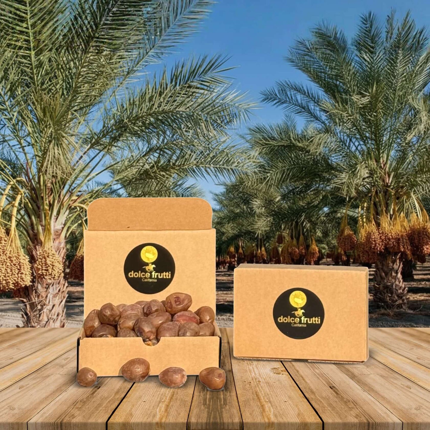 Soft Ripe Barhi Dates