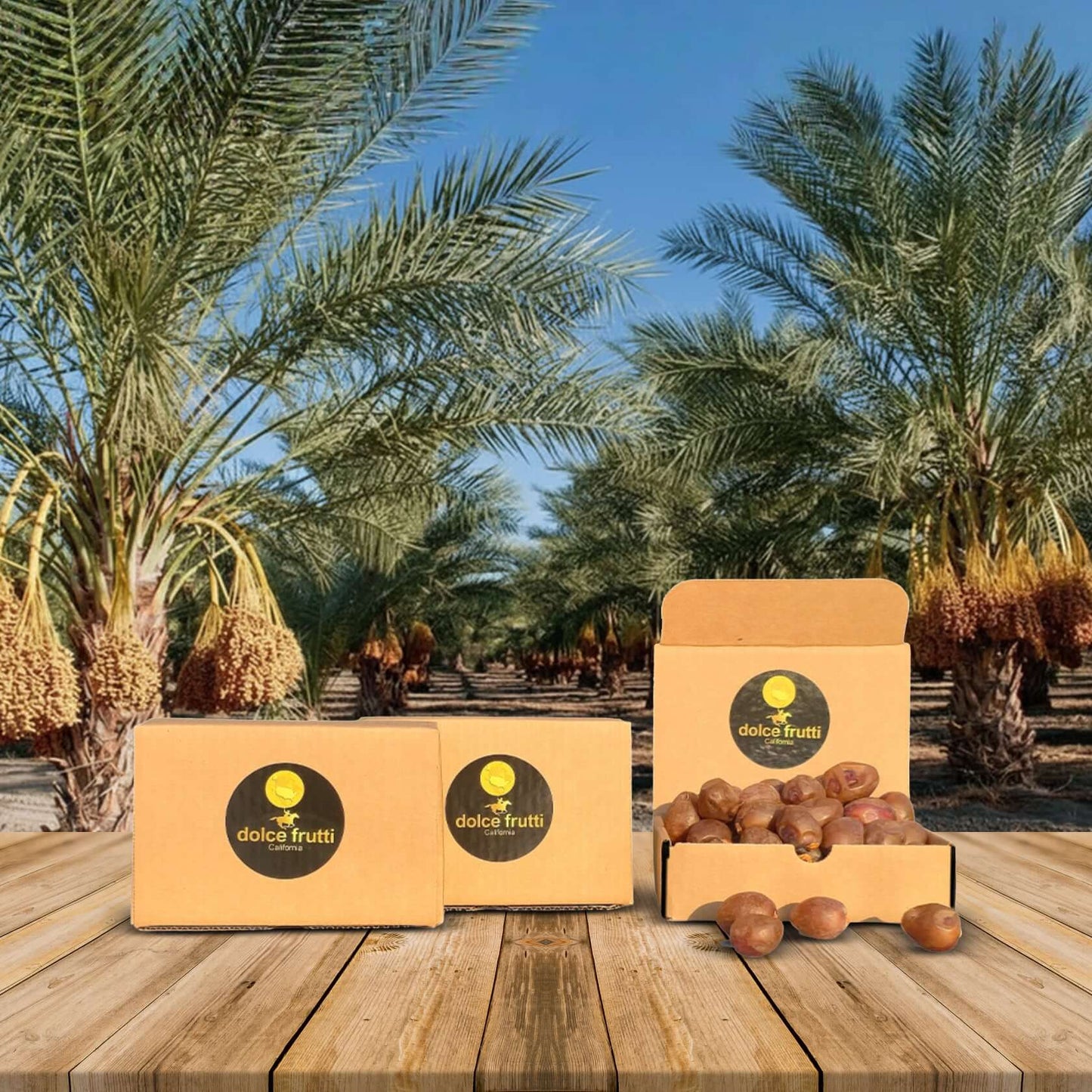 Soft Ripe Barhi Dates
