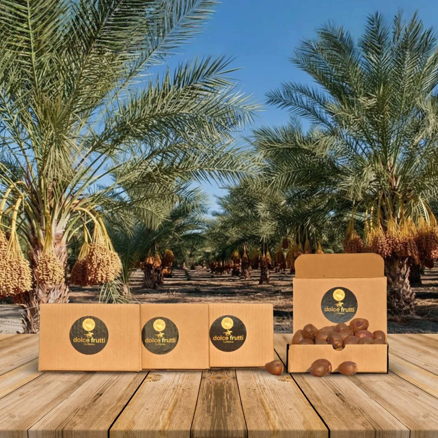 Soft Ripe Barhi Dates