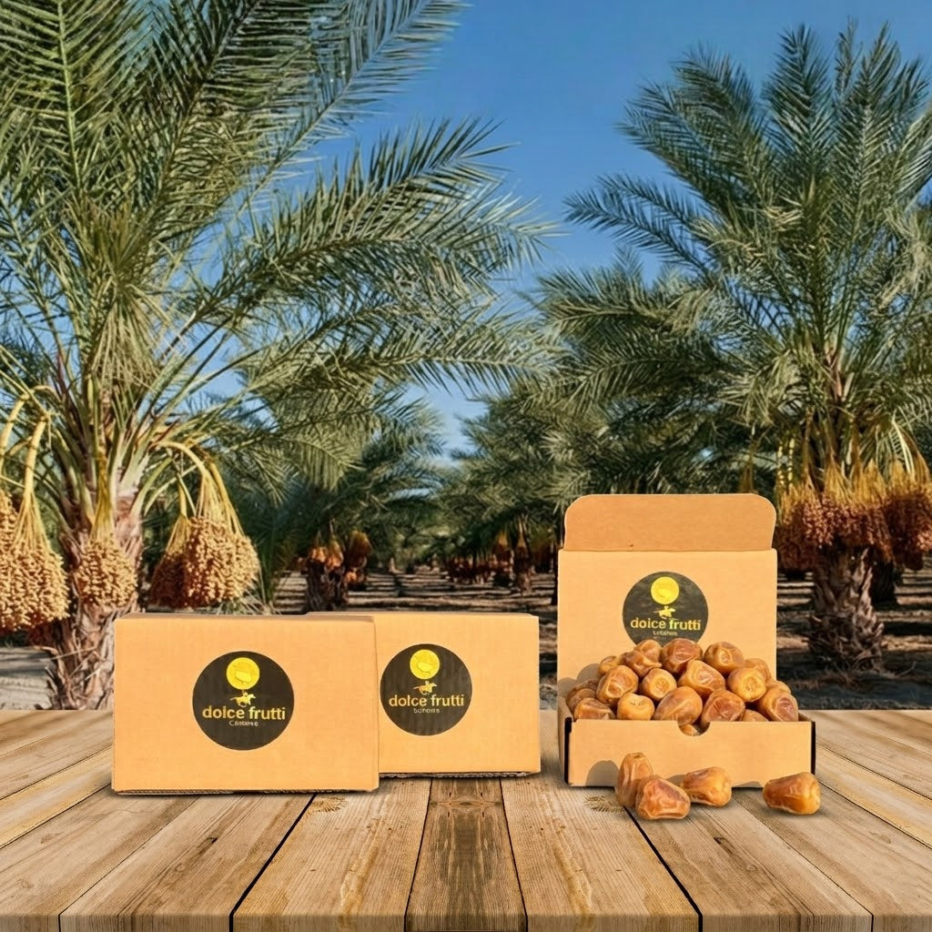 Ripe Sukkari Dates