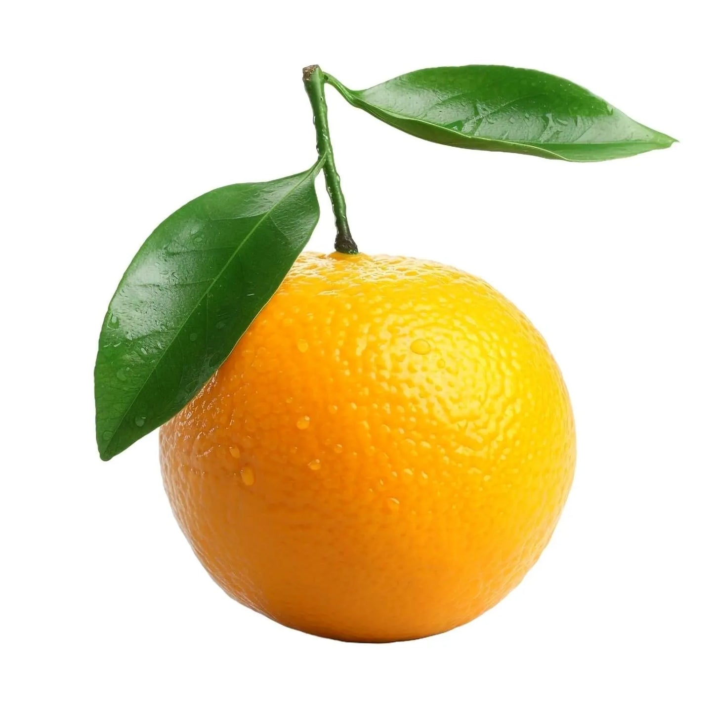 Temple Oranges 