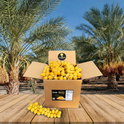 Khalal Yellow Barhi Dates