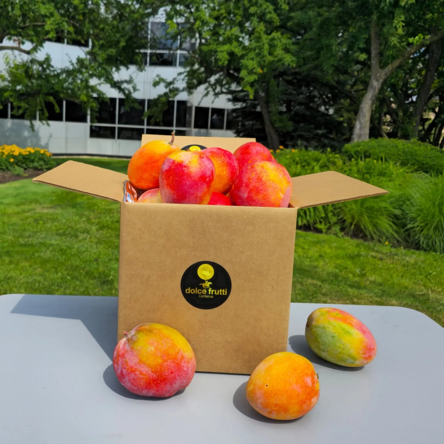 Desert Ruby Mangos 