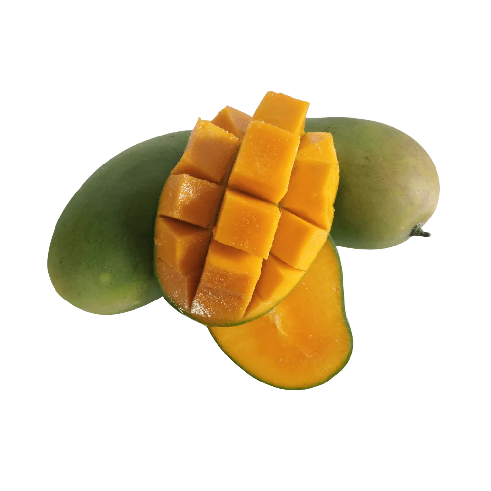 keitt mango california