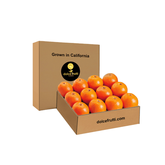 Marsh Ruby Blush Grapefruit