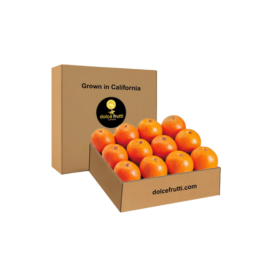 Marsh Ruby Blush Grapefruit