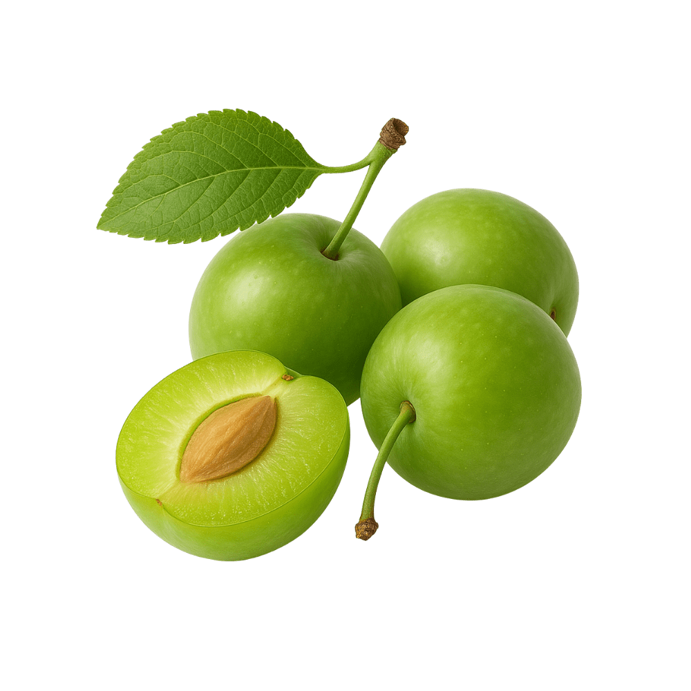 mirabelle sour plums