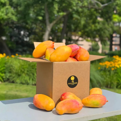 Valencia Pride Mangos | Summer Delight