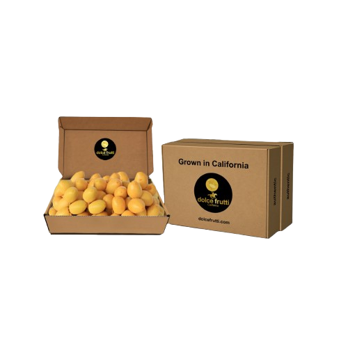 Yellow Barhi Dates (Khalal)